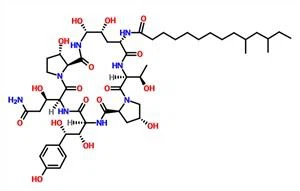 Pneumocandin B0 CAS 135575-42-7